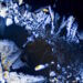 L'Impact méconnu du carbone noir sur le réchauffement global