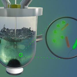 Bactéries magnétiques : La nouvelle frontière de la purification de l'eau