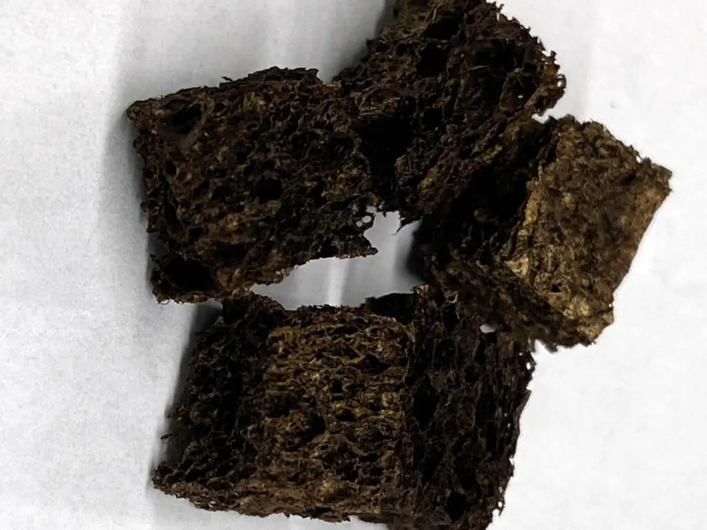 Une éponge recouverte de nanoparticules élimine le plomb de l'eau 3 Une éponge recouverte de nanoparticules élimine le plomb de l'eau