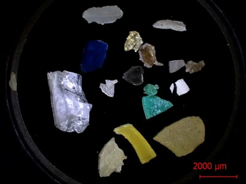 Pollution: Nouvelle méthode pour estimer l'âge des microplastiques 2