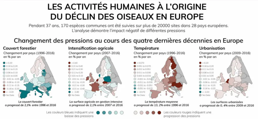 Les oiseaux européens menacés : L’agriculture intensive en cause 2