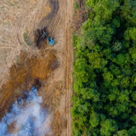 Réduction des combustibles fossiles : un danger caché pour la Santé ?