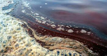 L'eau saumâtre pourrait-elle remplacer l'eau douce des centrales ?