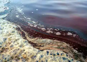 L'eau saumâtre pourrait-elle remplacer l'eau douce des centrales ?