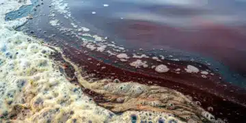 L'eau saumâtre pourrait-elle remplacer l'eau douce des centrales ?