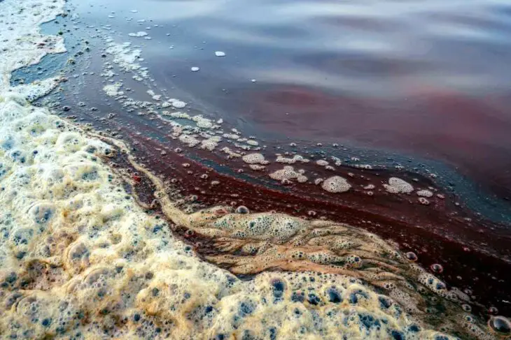 L'eau saumâtre pourrait-elle remplacer l'eau douce des centrales ?