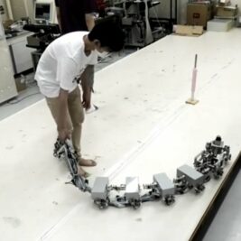 Osaka réinvente la locomotion robotique avec un robot mille-pattes