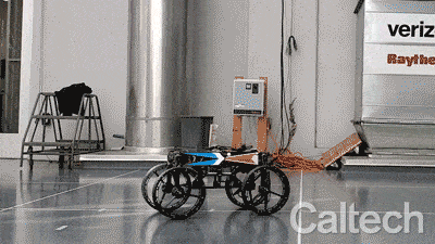 Morphobot, le caméléon de la robotique 2