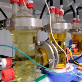 Comment les microorganismes transforment le CO2 et l'électricité en alcool