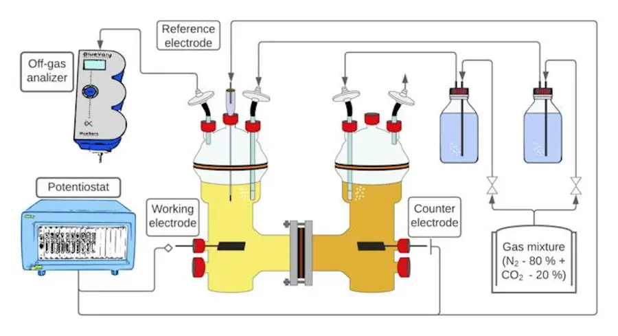 Représentation schématique du dispositif expérimental : La culture bactérienne se développe dans l'un des conteneurs, l'électricité et le CO2 sont fournis. Un deuxième récipient est utilisé pour la contre-réaction électrochimique ; de l'oxygène y est produit.
