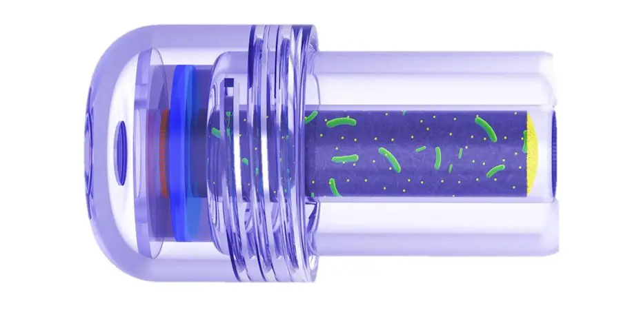 Le potentiel incroyable d'une biobatterie qui dure 100 ans 2