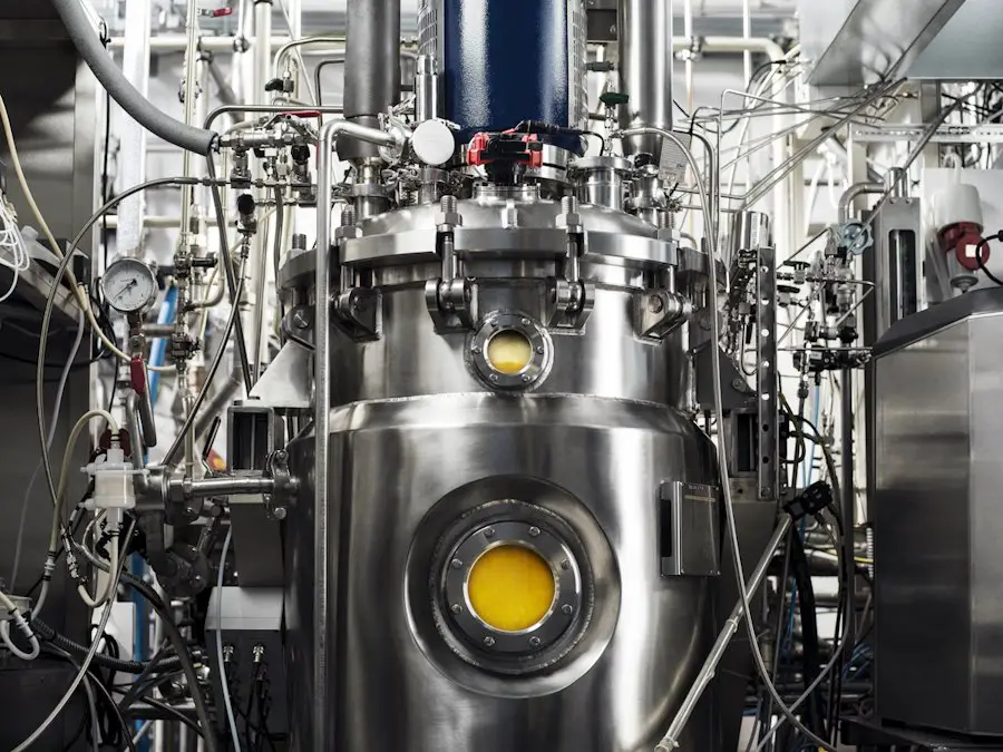 Solar Foods : présentation de Solein, la protéine du futur 3