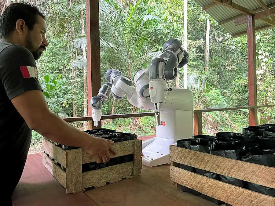 YuMi, le cobot qui veut accélérer la reforestation de l'Amazonie 3