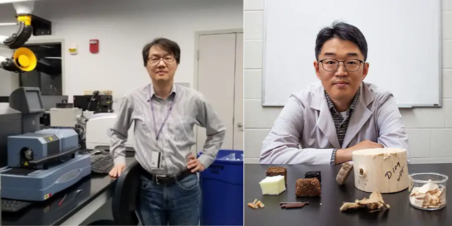 Des chercheurs s'attaquent à la transformation de la lignine 2