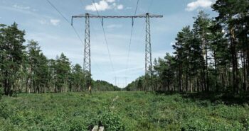 Vattenfall transforme les lignes électriques en havres de biodiversité