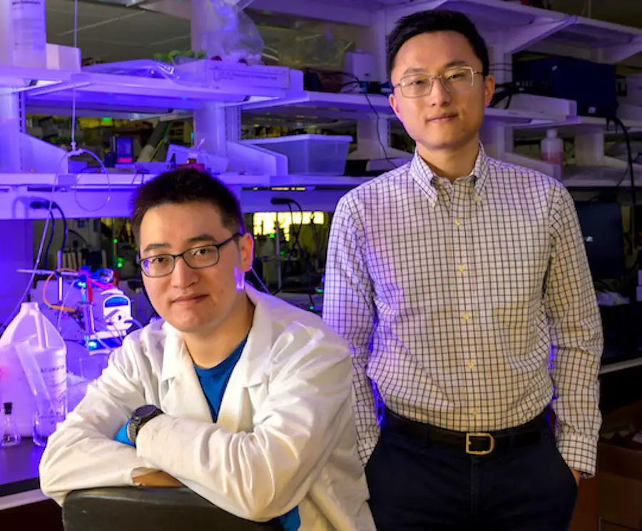 Capture du CO2 : l'innovation de l'Université Rice qui change la donne 3