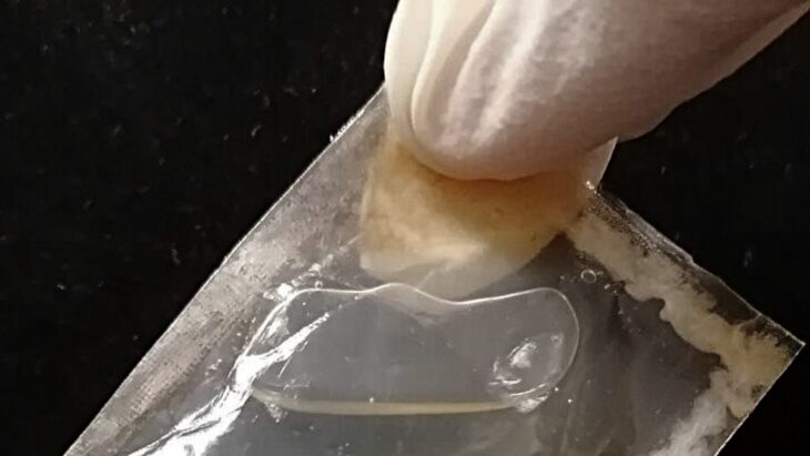 La solution à la crise du plastique se trouve-t-elle dans les bactéries ?