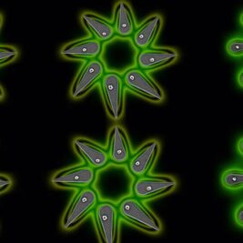 Les nanoLEDs de pérovskite halogénée ouvrent la voie à l'ère quantique