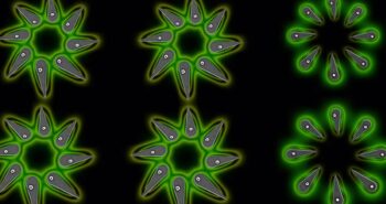 Les nanoLEDs de pérovskite halogénée ouvrent la voie à l'ère quantique