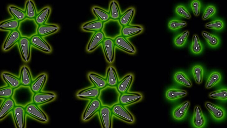 Les nanoLEDs de pérovskite halogénée ouvrent la voie à l'ère quantique