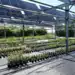 CNR et Sun'Agri : une alliance stratégique pour l'agrivoltaïsme