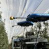 Une récolte autonome par les robots : l'avenir de l'industrie fruitière ?