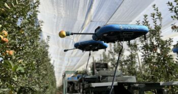 Une récolte autonome par les robots : l'avenir de l'industrie fruitière ?