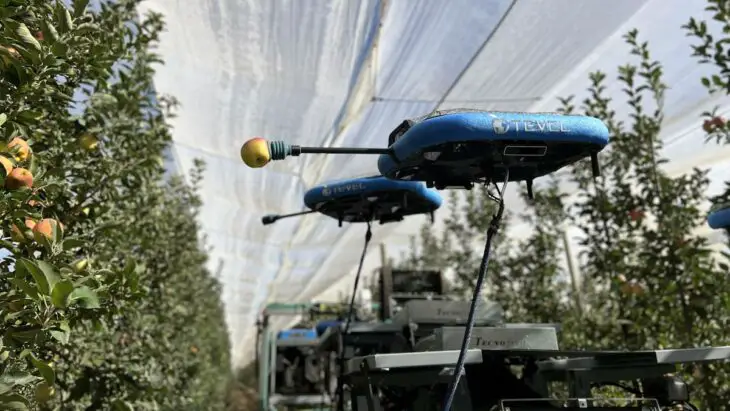 Une récolte autonome par les robots : l'avenir de l'industrie fruitière ?