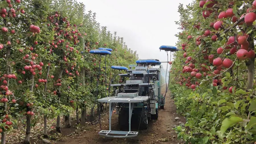 Au Chili, des robots volants font la récolte des pommes 4