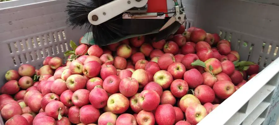 Au Chili, des robots volants font la récolte des pommes 5