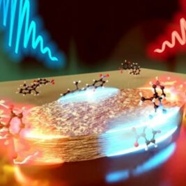 Quand la lumière rencontre la matière : l'émergence des polaritons