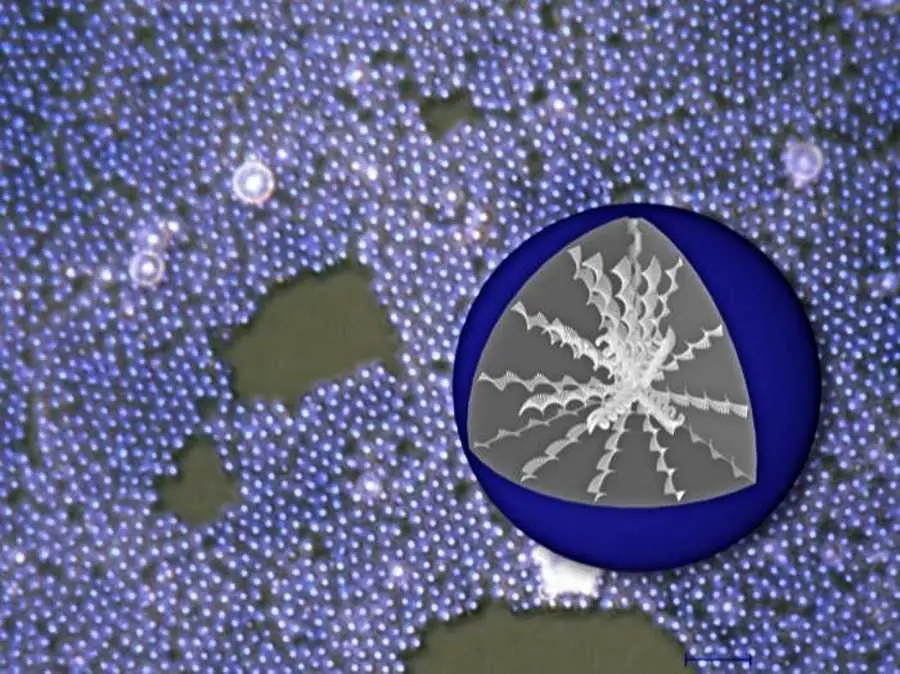 Des cristaux liquides pour des QR codes infalsifiables 2