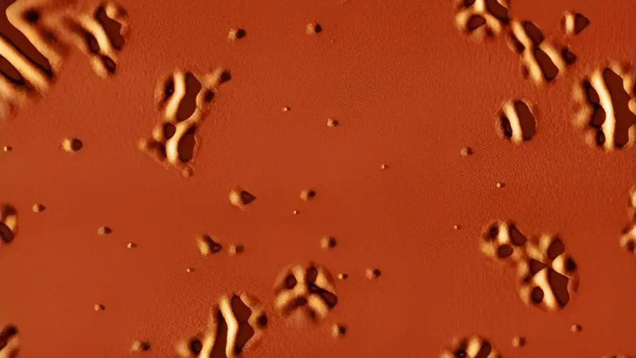 Observation microscopique en direct de la transition vitreuse 2