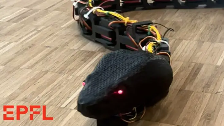 Des essais et des erreurs est né Flipper, le serpent robot