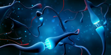 L'influence de l'informatique neuromorphique sur les réseaux 6G