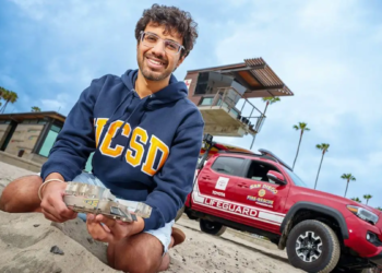 Les tortues inspirent un robot capable de nager sous le sable