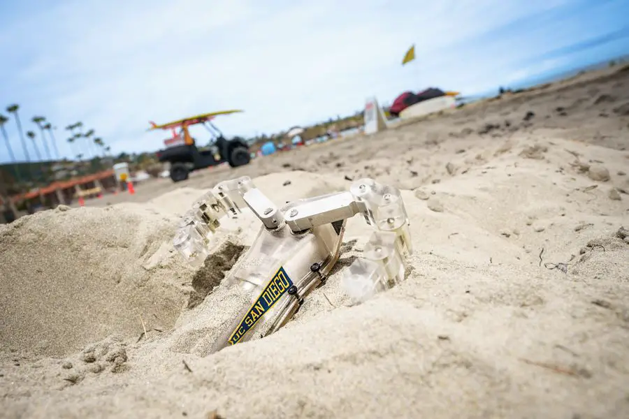 Les tortues inspirent un robot capable de nager sous le sable 2