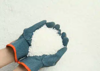 61731