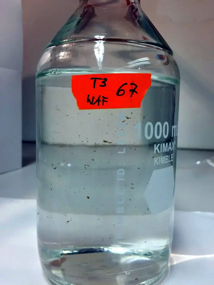 Les biosurfactants : une réponse prometteuse aux marées noires 3