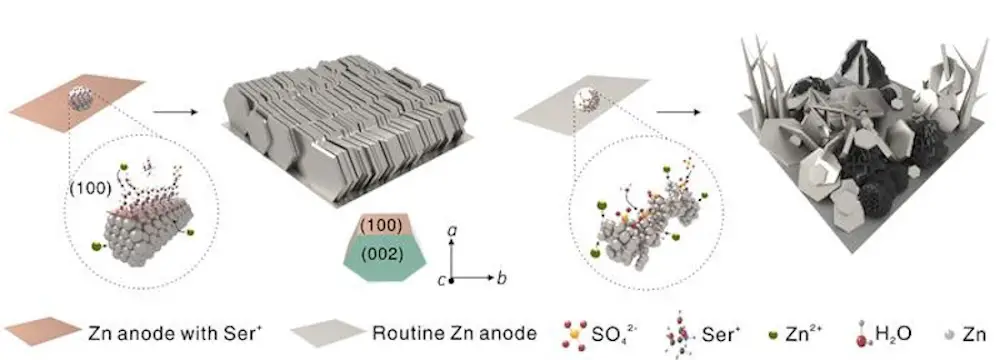 Nouvelle stratégie pour améliorer la performance des batteries au zinc-ion aqueuses 2