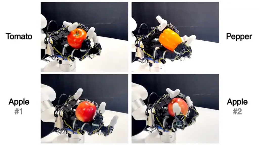 Découvrez la main robotique qui manipule sans voir 3