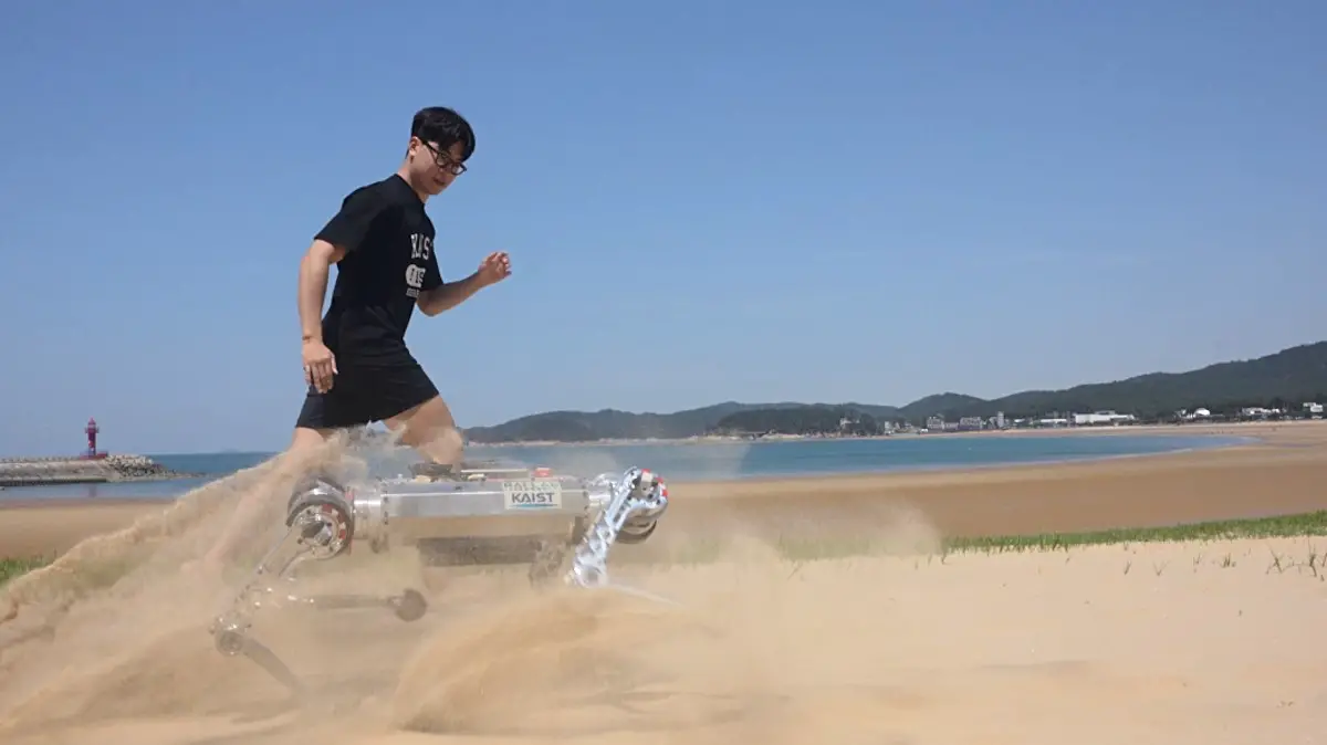 Le robot 'RaiBo' : une marche assurée sur tous types de terrain
