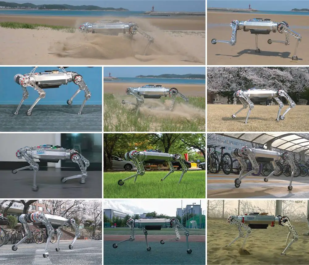 Le robot 'RaiBo' : une marche assurée sur tous types de terrain 3
