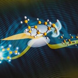 Des scientifiques observent en temps réel l'état de transition d'une réaction photochimique