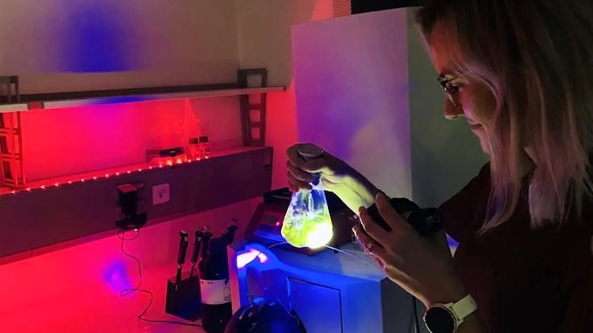 Comment une protéine sensible à la lumière pourrait bousculer la recherche biomédicale