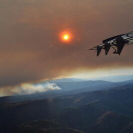 Le rôle méconnu du carbone brun foncé dans les incendies de Forêt