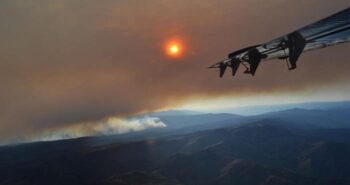 Le rôle méconnu du carbone brun foncé dans les incendies de Forêt