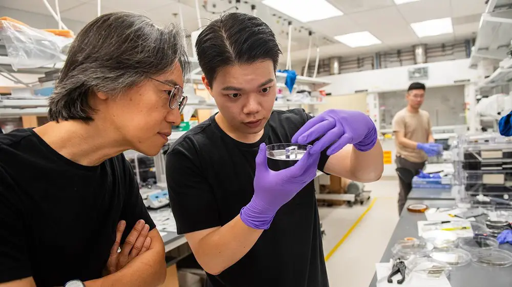 Des scientifiques inventent le plus petit moyen connu pour guider la lumière 2