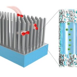 Une nouvelle architecture de pile à combustible utilise des nanofils pour assurer la durabilité
