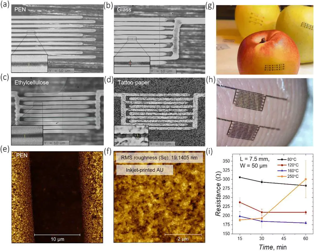 L'électronique comestible : un marché potentiel de plusieurs milliards ? 2
